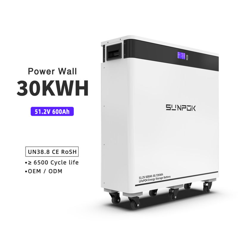 600Ah লিথিয়াম আয়ন Lifepo4 সৌর ব্যাটারি 30kwh 48V 600Ah Lifepo4 ব্যাটারি প্যাক 51.2v 30kwh 30kw সৌর শক্তি সঞ্চয় সিস্টেম