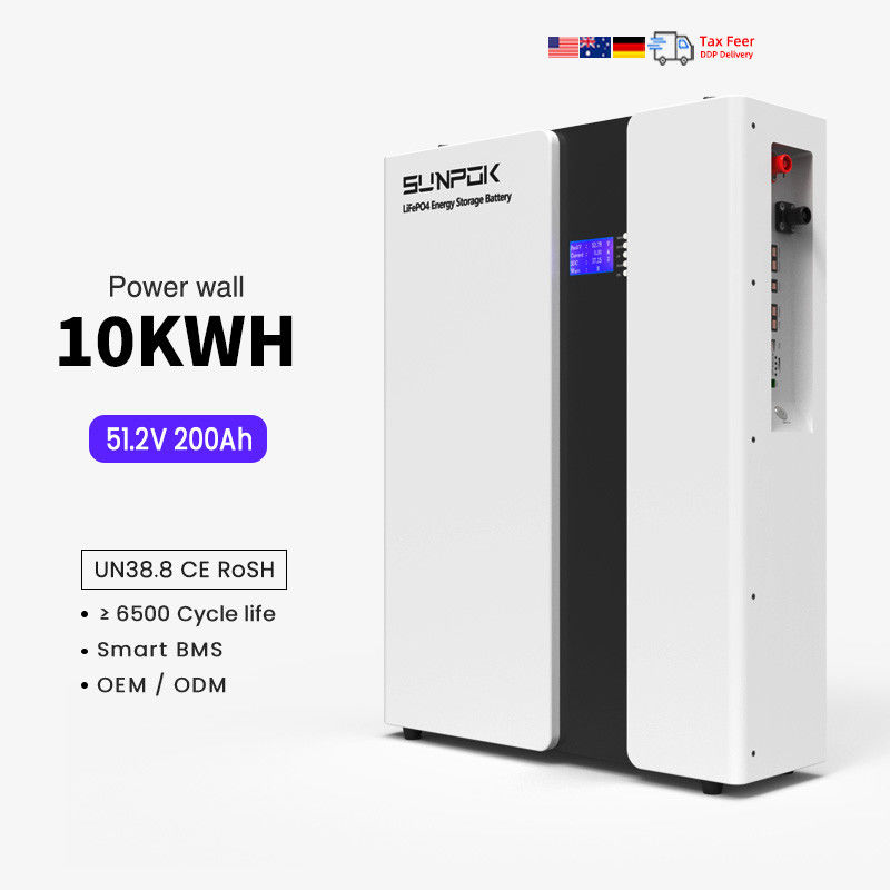 হোম পাওয়ার 48V 200Ah লিথিয়াম আয়ন ব্যাটারি 10Kwh LiFePo4 ব্যাটারি স্মার্ট BMS সৌর সিস্টেম 51.2V 100Ah শক্তি সঞ্চয় ব্যাটারি