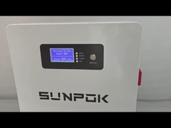 ২৪ ভি ৩০০ এএইচ লাইফপো ৪ ব্যাটারি